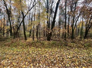 LOT 8 Algoma St, Stevens Pt, WI 54482