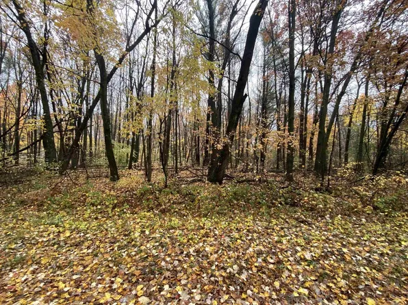 Lot 8 ALGOMA STREET, Stevens Point, WI 54482