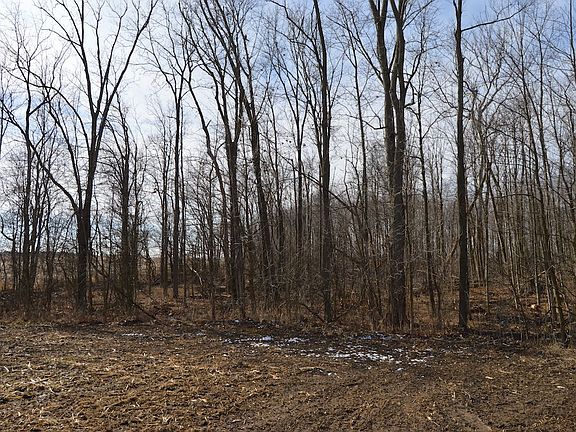 Drive into woods