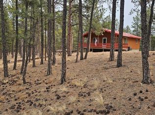 480 Blue Mountain Dr, Florissant, CO 80816