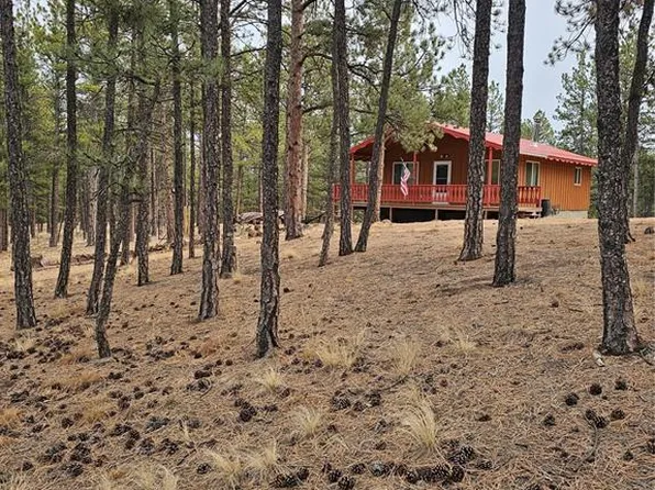 480 Blue Mountain Dr, Florissant, CO 80816