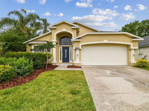 10223 Charleston Corner Rd, Tampa, FL 33635