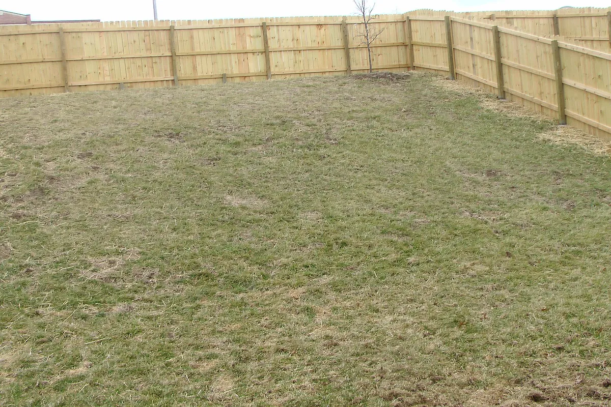 Building Photo - 5813 Canaveral Dr