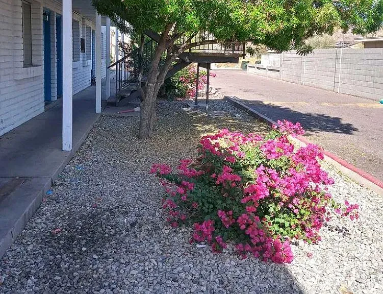 1725 W Vogel Ave — Photo 6