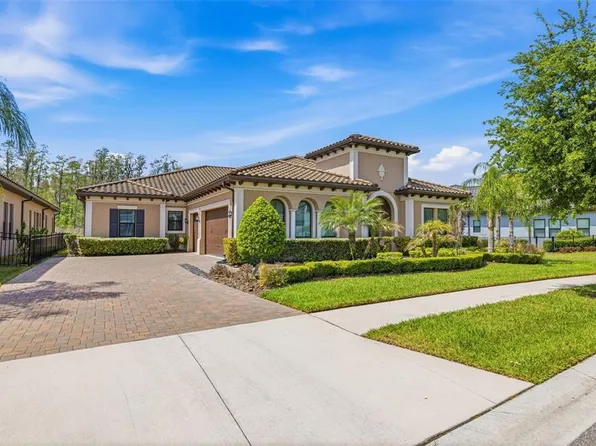 3636 Madison Cypress Dr, Lutz, FL 33558