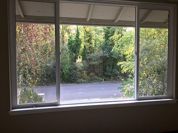 view from living room window