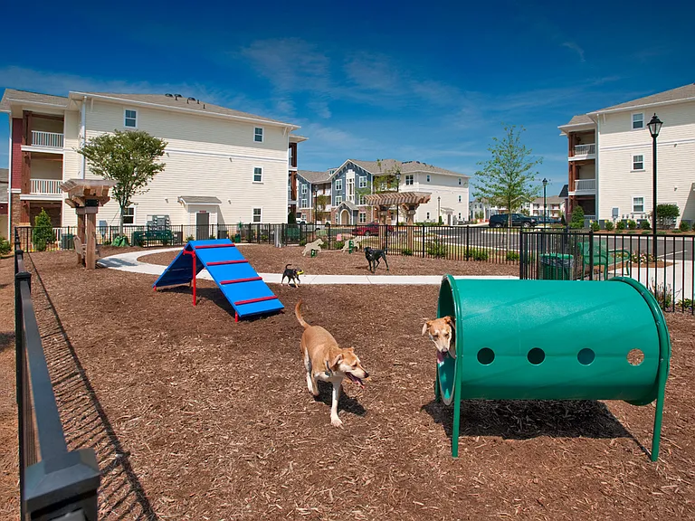 First Dog Park