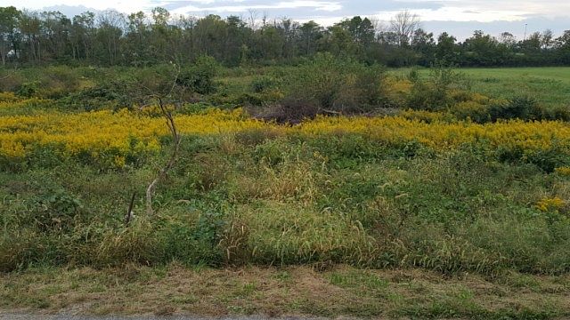 2nd image of 7440 Engle Rd