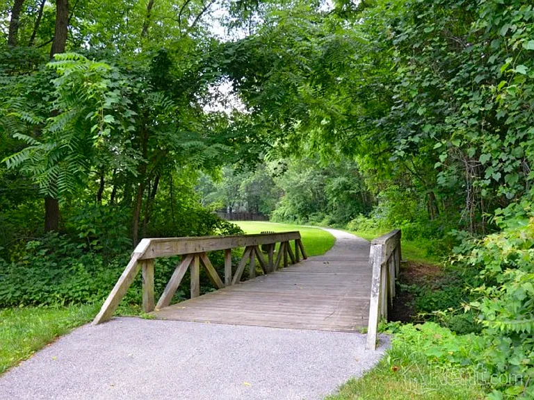 Walking Trails