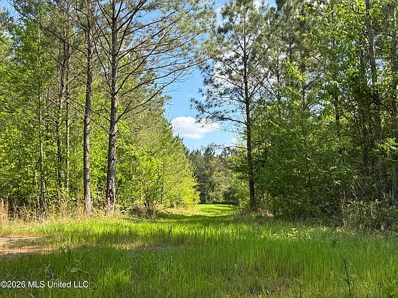 2nd image of 1479 Truesdale Rd