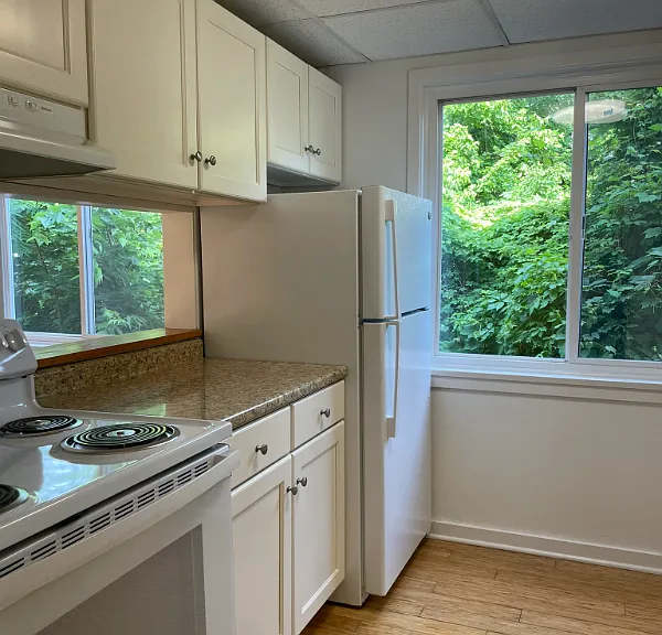 237 Maple St #3 — Photo 3