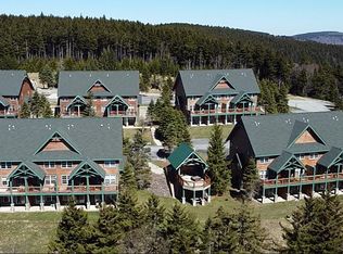 4 27th Cp, Snowshoe, WV 26209