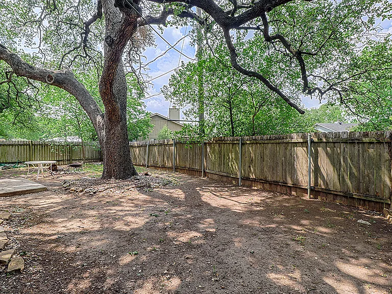 Backyard.