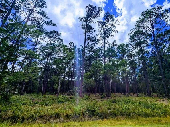 0 Boykin Blvd #197, Lillian, AL 36549