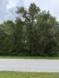7259 S Withlapopka Dr, Floral City, FL, 34436