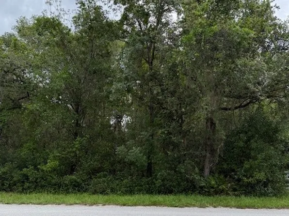 7259 S Withlapopka Dr, Floral City, FL 34436