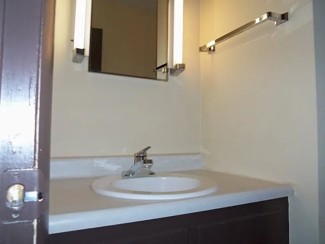 Bathroom Vanity