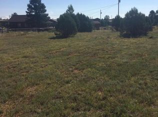 2750 Pine View Ct, Overgaard, AZ 85933