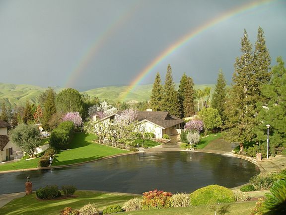 View from Living Room