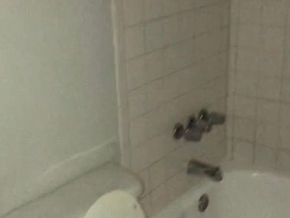 3rd image of 1732 Saint Paul St APT 3D
