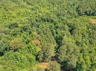 0 Rainey Lake Rd #2, Buchanan, GA 30113