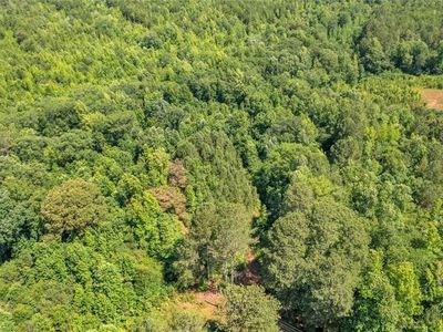 0 Rainey Lake Rd #2, Buchanan, GA, 30113