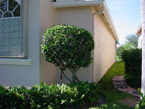 3rd image of 13799 Viale Venezia