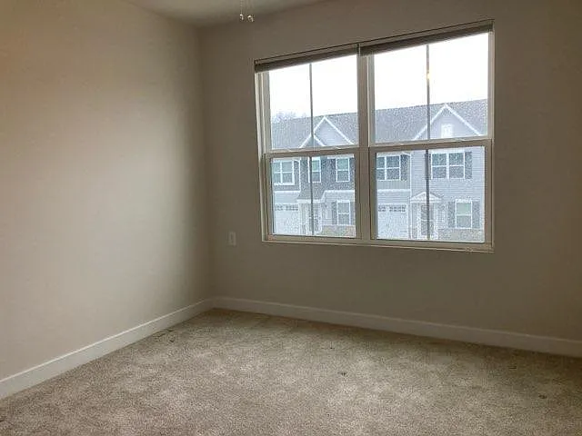 28052 Dew Drop Ln — Photo 14