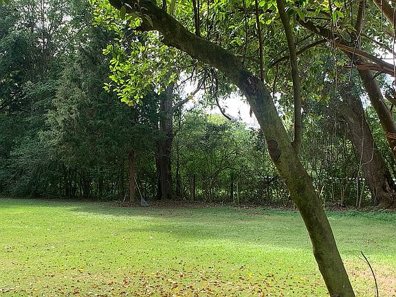 Right corner of backyard 