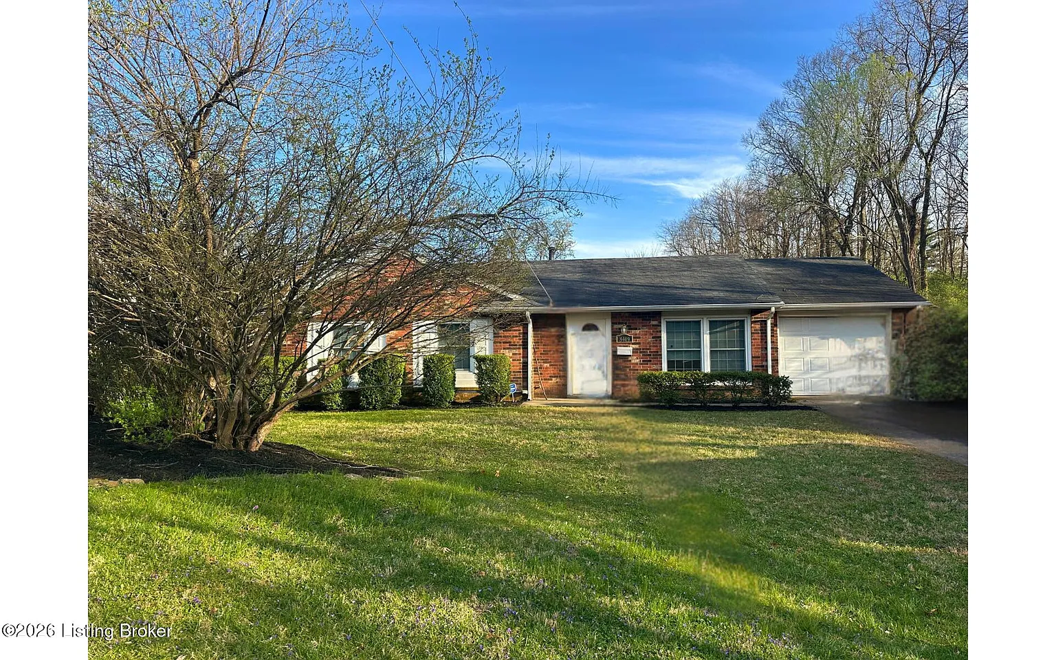 8409 Saberdee Dr photo 1