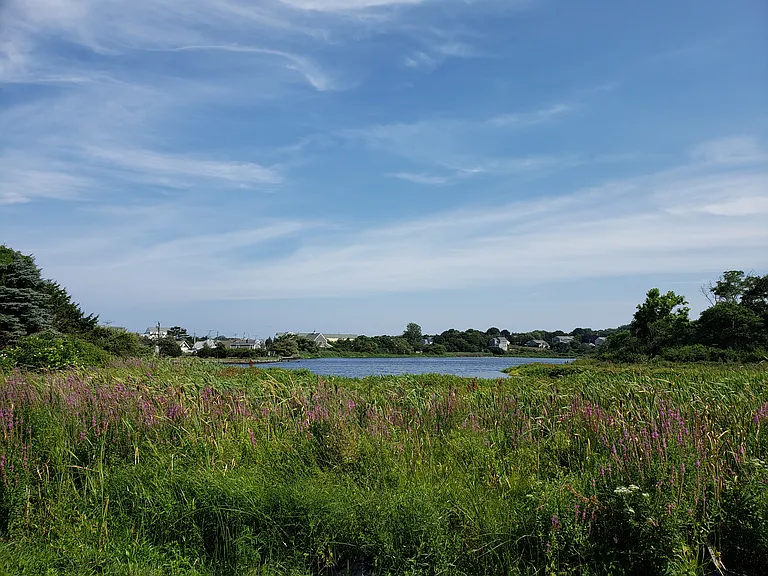 View from the property