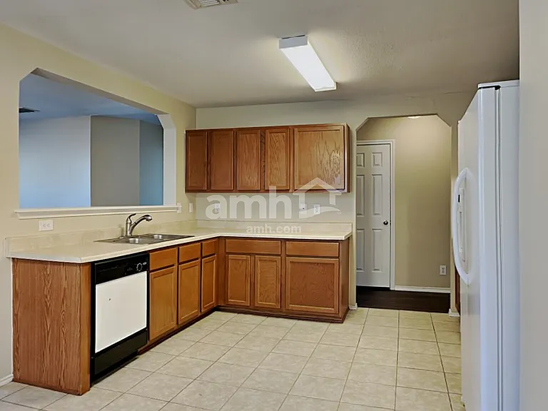 8438 Silver Brush — Photo 3
