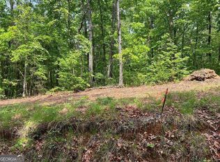 0 Ridge Rd #48, Dawsonville, GA 30534