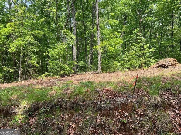 0 Ridge Rd #48, Dawsonville, GA 30534