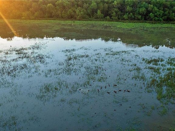 2nd image of 0 80th Rd SE