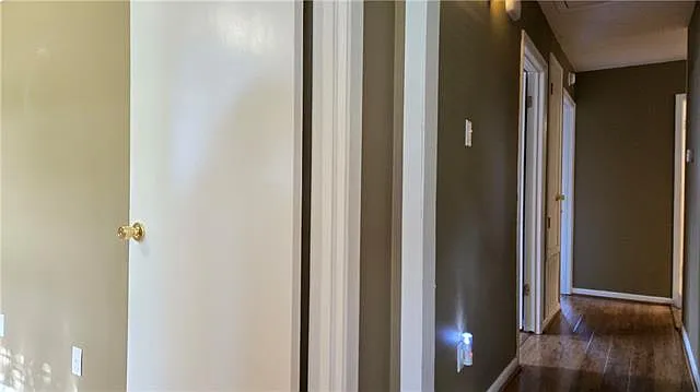 263 Audubon Dr — Photo 20