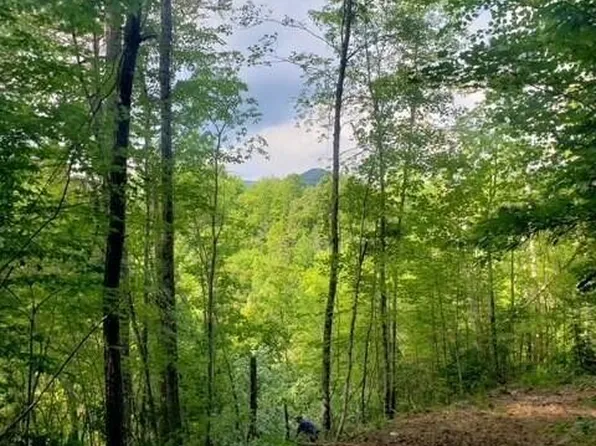 4830 White Pine Way Lot 3A, Sevierville, TN 37876