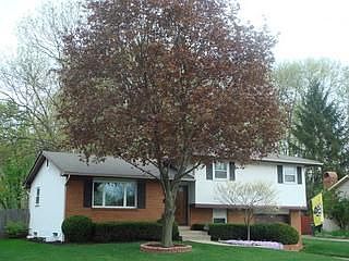 2nd image of 5356 Crawford Dr