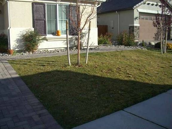 Landscaped Front Yard