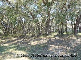 9064 Gaynor St, Spring Hill, FL 34608