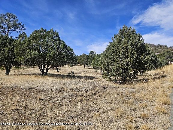 2nd image of 102 Deer Valley Dr #4