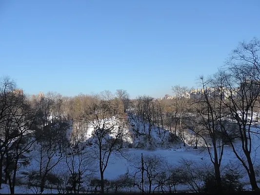 Rented by essential NEW YORK Real Estate | media 32