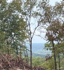 180 Madison St #410, Fredericktown, MO, 63645