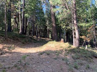 2022 Calaveritas Dr, Arnold, CA
