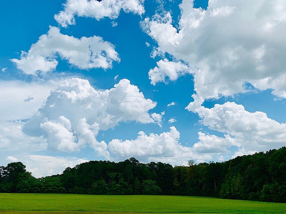 Backyard view