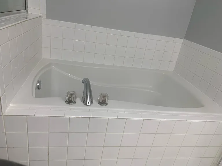 Master Bathroom - soaking bathtub