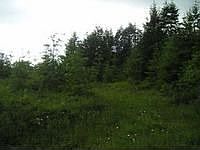 1st image of 254 Mill Creek Dr