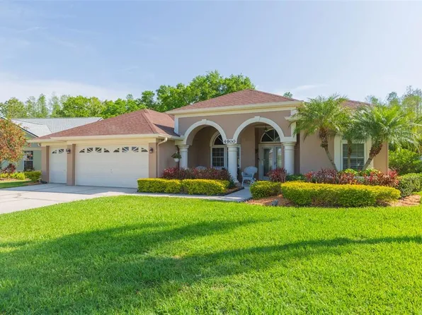 4900 Balsam Dr, Land O Lakes, FL 34639