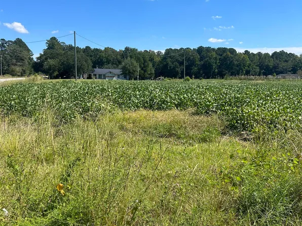 TBD Highway 917, Loris, SC 29569