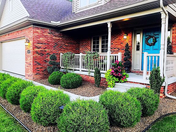 A variety of plant material